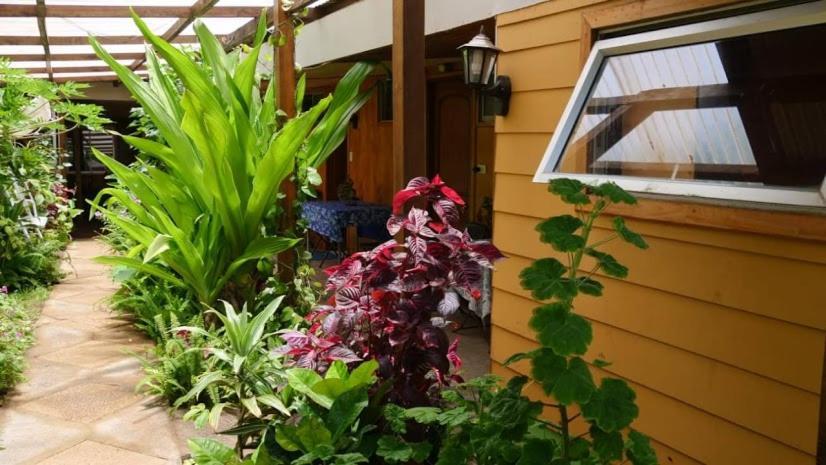 Hostal Vaihere Hanga Roa Extérieur photo